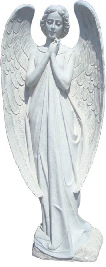 sc34.